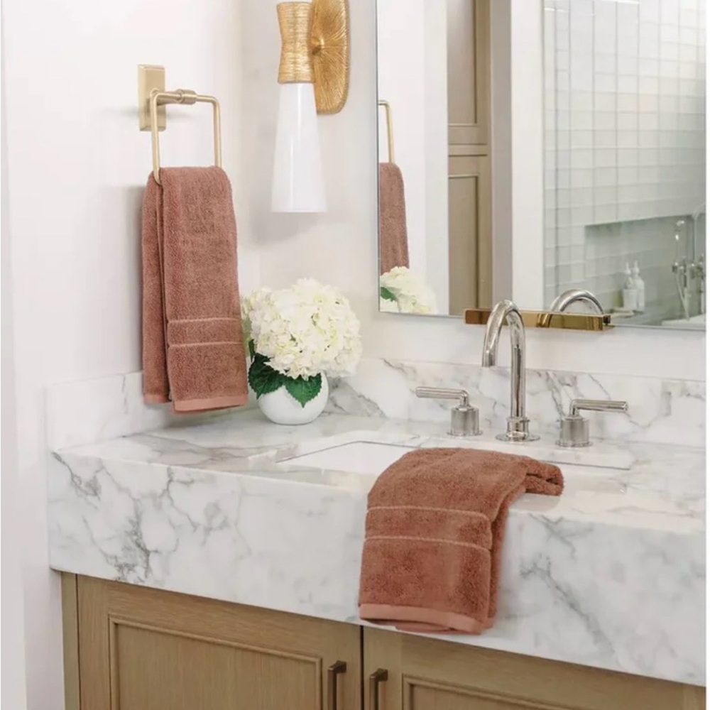 COZY EARTH Premium Plush Luxury Hand Towel Set CLAY New